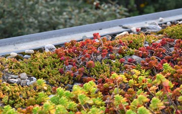 the cost of Swavesey green roof installation