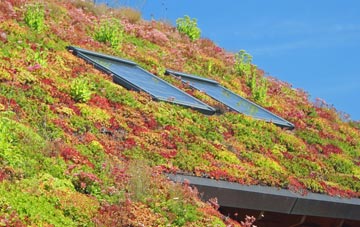 Swavesey living roof systems
